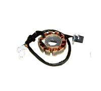 Parti Di Motociclette Scooter Motore Elettrico A Iniezione Carburante A Bobina Trifase 12 18 Poli Statore Per 152QMI 157QMJ GY6-125 150cc Bobina Magnetica Accensione