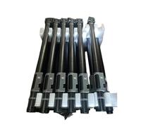 Parti di protezione delle piante for droni agricoli T20P Tubo del braccio del drone(1set)