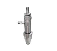 Parti di ricambio 1095 1595 5900 Gruppo pompa spruzzatore airless 248205 16Y706 287513(287513)