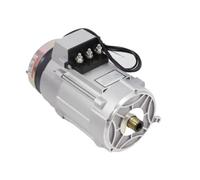 Parti di ricambio del cambio Motore asincrono a induzione ad alta efficienza da 4000 W e 48 V, per golf elettrico,per classe di protezione IP20