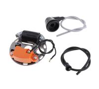 Parti Di Ricambio Del Modulo Bobina Di Accensione Adatto Per Motosega 070