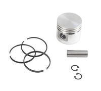 Parti di sostituzione del pistone della pompa 'aria per la tenuta 'aria con resistenza alla temperatura Design leggero Struttura compatta semplice compatibile con varie pompe 'aria(42mm)