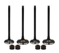 parti Guarnizione valvola di aspirazione e scarico for moto adatta for AX-1 NX250 1988-1996 XL250 1996 AN250 Twincam 08-15(2 Pairs)