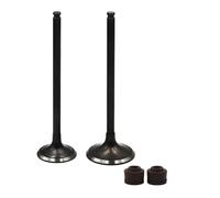 parti Guarnizione valvola di aspirazione e scarico for moto adatta for AX-1 NX250 1988-1996 XL250 1996 AN250 Twincam 08-15(1 Pair)