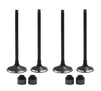 parti Paraolio for stelo valvola moto adatto for K KLX250 KLX300 BR250 Z250SL BX250 250SL S 250 DR250 DRZ250(2 pairs)