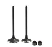 parti Paraolio for stelo valvola moto adatto for K KLX250 KLX300 BR250 Z250SL BX250 250SL S 250 DR250 DRZ250(1 pair)