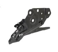 Parti relative al cofano BLIC 6802-00-1196451P per CAMARO 3.6 2015-