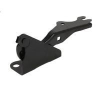 Parti relative al cofano BLIC 6802-00-3499452P per MAZDA CX-9 (TB) 3.5 2006-2007