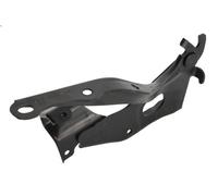 Parti relative al cofano BLIC 6802-00-8195452P per UX 2 2024-