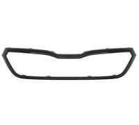Parti relative alla griglia BLIC 6502-07-7519995P per SKODA SCALA (NW1) 1 2019-