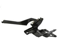 Parti relative alla griglia PACOL SCA-FP-045L per SCANIA T 15.607 2004-2005