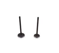 parti Stelo di scarico della valvola di aspirazione del motore della motocicletta for Ya Vira XV250 V Star 250 Route 66 QJ250-H QJ250-L QJ250-J XC125 XV125