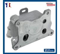 PARTSLINE Radiatore Olio Raffreddatore IDEM 213052926R 213055917R