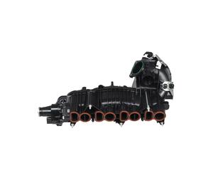 PartsTec PTA519-0045 Collettore di aspirazione