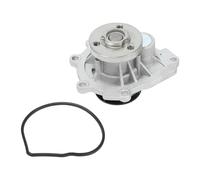 Partuto Pompa dell'Acqua No.1334142/71739779/24405895 - Pompa dell'Acqua Anteriore per Auto - per BMW 320I 1992-2005 in Metallo Tono Argento con Guarnizione - 1 Set