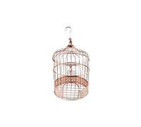 Party Deco.PL - Gabbia Decorativa per Uccelli, in Oro Rosa, Stile Vintage, Motivo: voliera