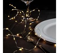 Party Illuminations Silver Wire Led Lights, 3M
