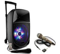 Party Light & Sound - Altoparlante autonomo Karaoke con batteria 300 W Bluetooth PARTY-8 LED 2 microfoni cablati - Sintonizzatore - Festa Serata Compleanno