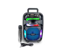 PARTY SPEAKER BONTEMPI CASSA WI-FI + MIC FILO