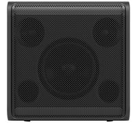 LG xboom Stage301,Speaker Portatile Wireless per Feste, Cassa Karaoke Portatile, Impermeabile IPX4 per Uso Esterno, con 12 Ore di Autonomia,Indicatore LED (Per Chitarra/Microfono)