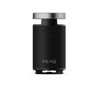 PARTY SPEAKER PEAQ PPS 170