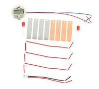 PartyKindom 1 set Kit Esperimenti Scientifici Batteria Educativo per Studenti Sviluppo delle Competenze Pratiche e Conoscenze Scientifiche Materiali Sicuri e Riutilizzabili Facile Usare e