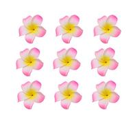 PartyKindom 12 pezzi Mollette con Plumeria Rosa Accessori per Sposa e per Matrimonio Vacanze Spiaggia e Feste