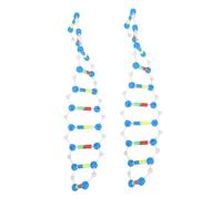 PartyKindom 2 Kit Molecolare Dna Doppia per Insegnamento Biologia Scuole Medie e Università Strumento Educativo Stem per Esperimenti Genetici e Apprendimento Scientifico