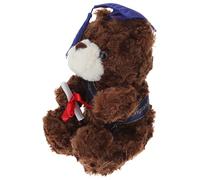 PartyKindom Bambola Del Dottor Orso Peluche Giocattolo Per Orsetti Di Laurea Regali All'Ingrosso Per La Scuola Regali Per Ragazze Adolescenti Forniture Per Feste Di