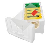 PartyKindom Box Per Allevamento Api Cornici in Plastica e Schiuma Mini Arnia Starter Per Apicoltura Tecnica Pratica Accessorio Compatibile Per Allevamento Regine e Impollinazione Api Compatto