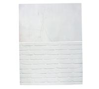 PartyKindom Carta Fotografica Doppia Faccia Texture Mattoni Per Fondali Fotografici e Video Per Still Life e Food Photography