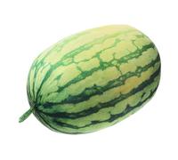 PartyKindom Cuscini Di Peluche A Forma Di Anguria Decorazioni Per La Casa Cuscini A Forma Di Frutta E Cartoni Animati Roba A Forma Di Anguria Giocattoli Di Peluche A Tema Alimentare