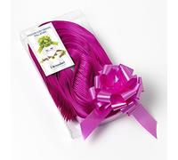 PARTYLANDIA Confezione 100 Fiocchi Rapidi, Larghezza 31 mm Strip (Fucsia)