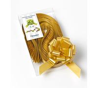 PARTYLANDIA Confezione 100 Fiocchi Rapidi, Larghezza 31 mm Strip (Oro)