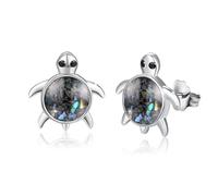 PARYFO Orecchini a forma di animale dell'oceano per donne e ragazze, in argento sterling 925 con tartaruga, cavalluccio marino, polpo e delfino, granchio, tartaruga, ipoallergenico, oceano, argento