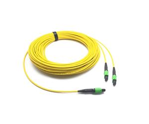 Pas fib cbl SMF MPO12 APC 2xMPO12 APC10m