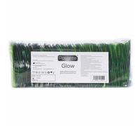 Pasante Glow 144 pack