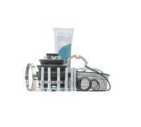 Giunto semiasse sul lato del cambio G8B006PC PASCAL