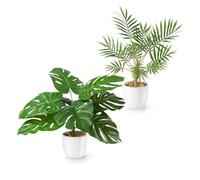 PASCH® Monstera - Set di 2 palme artificiali e Areca (35 cm) in vasi di ceramica bianchi: piante artificiali come reali, piante artificiali in vaso, falso pianeta + palma artificiale, fiori