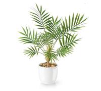 PASCH Palma artificiale Areca (35 cm) in vaso di ceramica bianca: piante artificiali come reali, piante artificiali in vaso, falsa pianta, palma artificiale, fiori artificiali in vaso, piccola palma