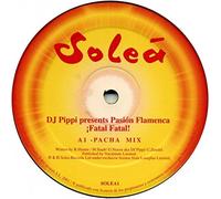 Pasion Flamenca / Fatal Fatal - Dj Pippi (Vinile)