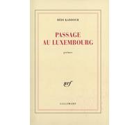 Passage Au Luxembourg