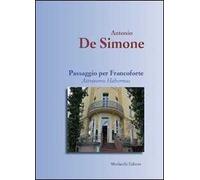 Passaggio per Francoforte. Attraverso Habermas