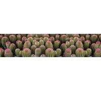 Passatoia da cucina, 100% Made in Italy, Tappeto antimacchia con stampa digitale, Runner antiscivolo e lavabile, Modello Cactus - Briony, cm 240x52