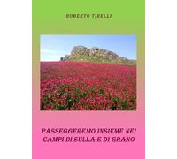Passeggeremo insieme tra i campi di sulla e di grano di Roberto Tirelli, 2019,