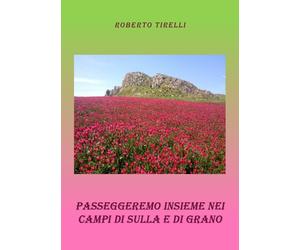 Passeggeremo insieme tra i campi di sulla e di grano di Roberto Tirelli, 2019,