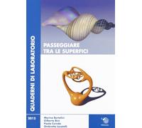 Passeggiare tra le superfici - AA.VV.
