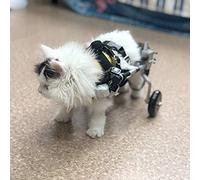 Passeggini Rimorchio Sedia a Rotelle per la Riabilitazione delle Zampe Posteriori di Cane Gatto e Cuccioli, Carrello per Cani Anziani Feriti Disabili, Carrellino per Tutti i Cani