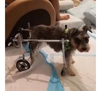 Passeggino a 4 ruote per cani di taglia piccola, media e grande, supporto completo per sedia a rotelle a quattro ruote, ginocchiera strappata Acl gamba posteriore