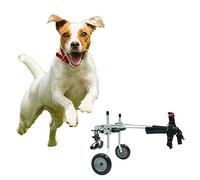 Passeggino per Animali Domestici per Cani di Taglia Media e Piccola, Sedia a Rotelle per Cani per Zampe Posteriori Bassotto, Carrello/Sedia a Rotelle per Cani a 2 Ruote Regolabile, Facile da